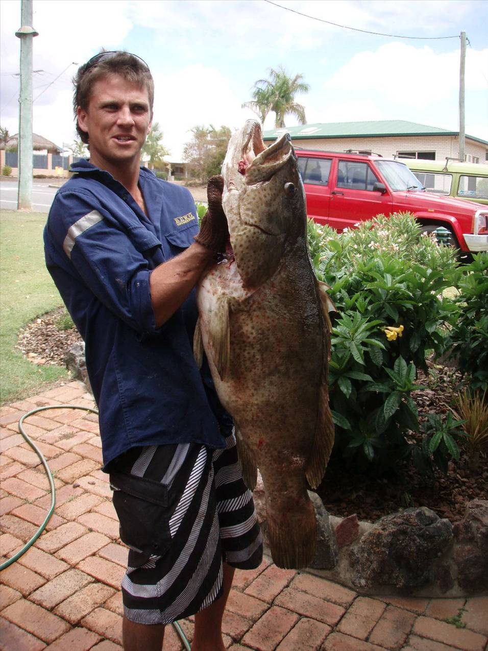 18kg Cod