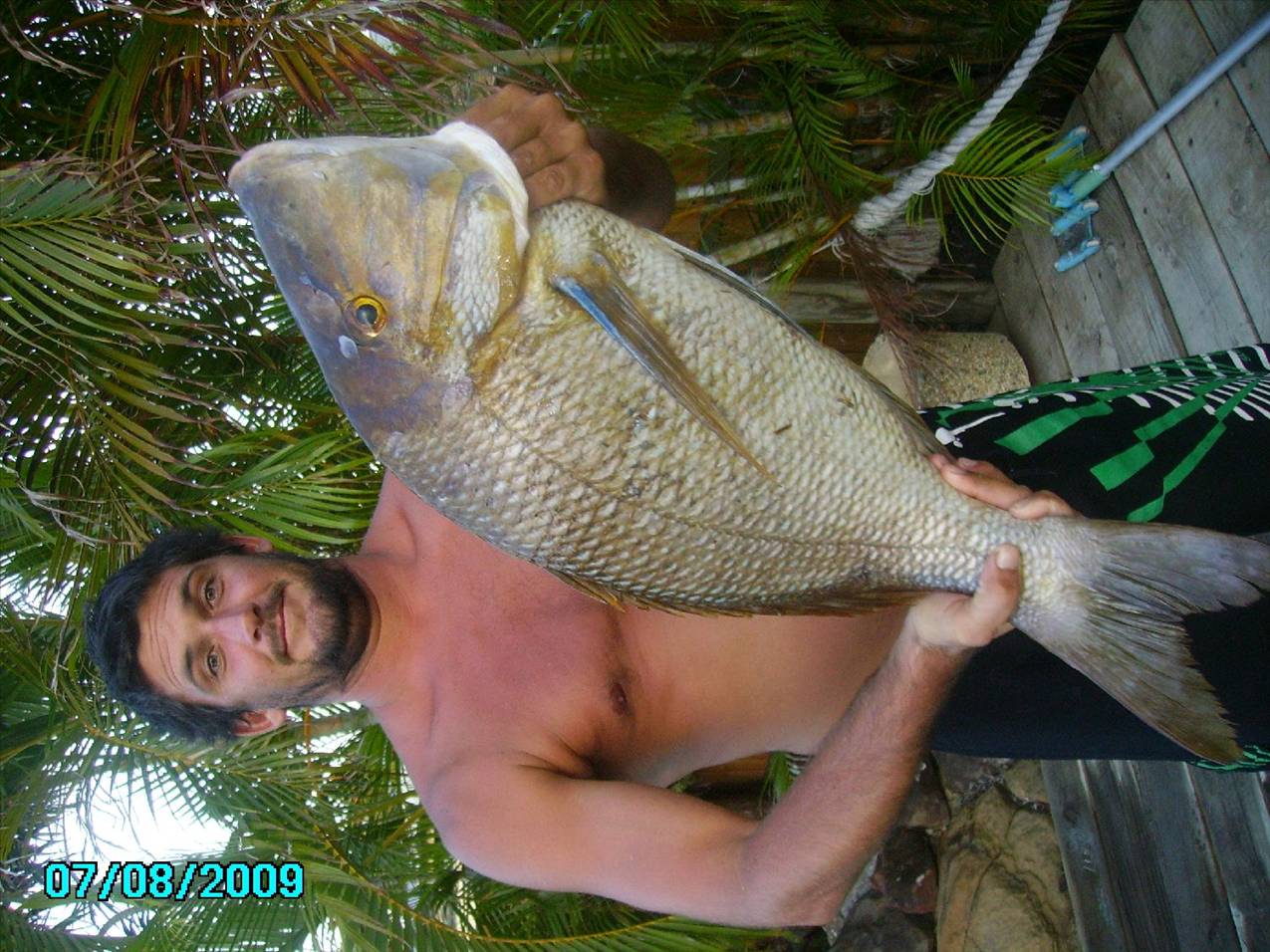 8.3kg