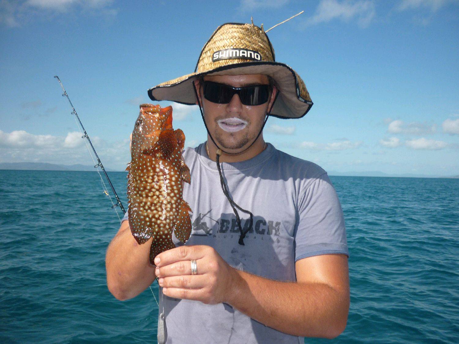 Coral cod