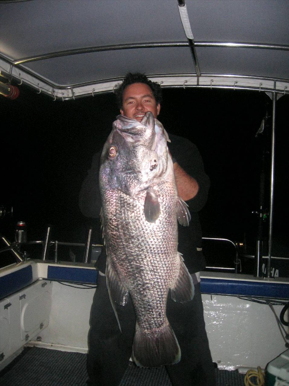 fish 027