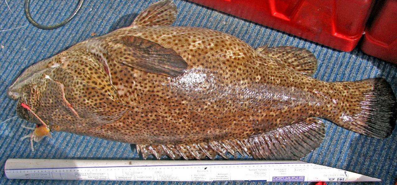 malabar cropped 2