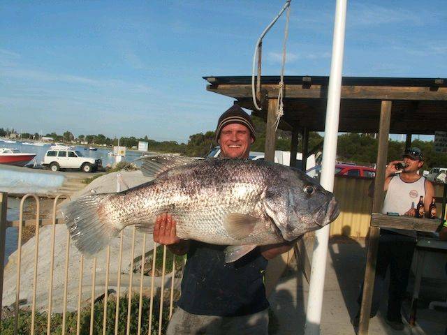 20.5kg