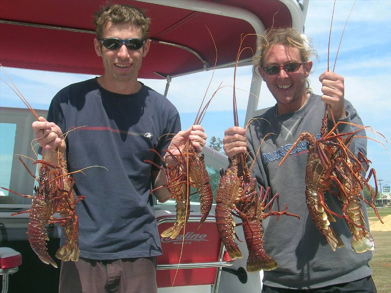 open day crays