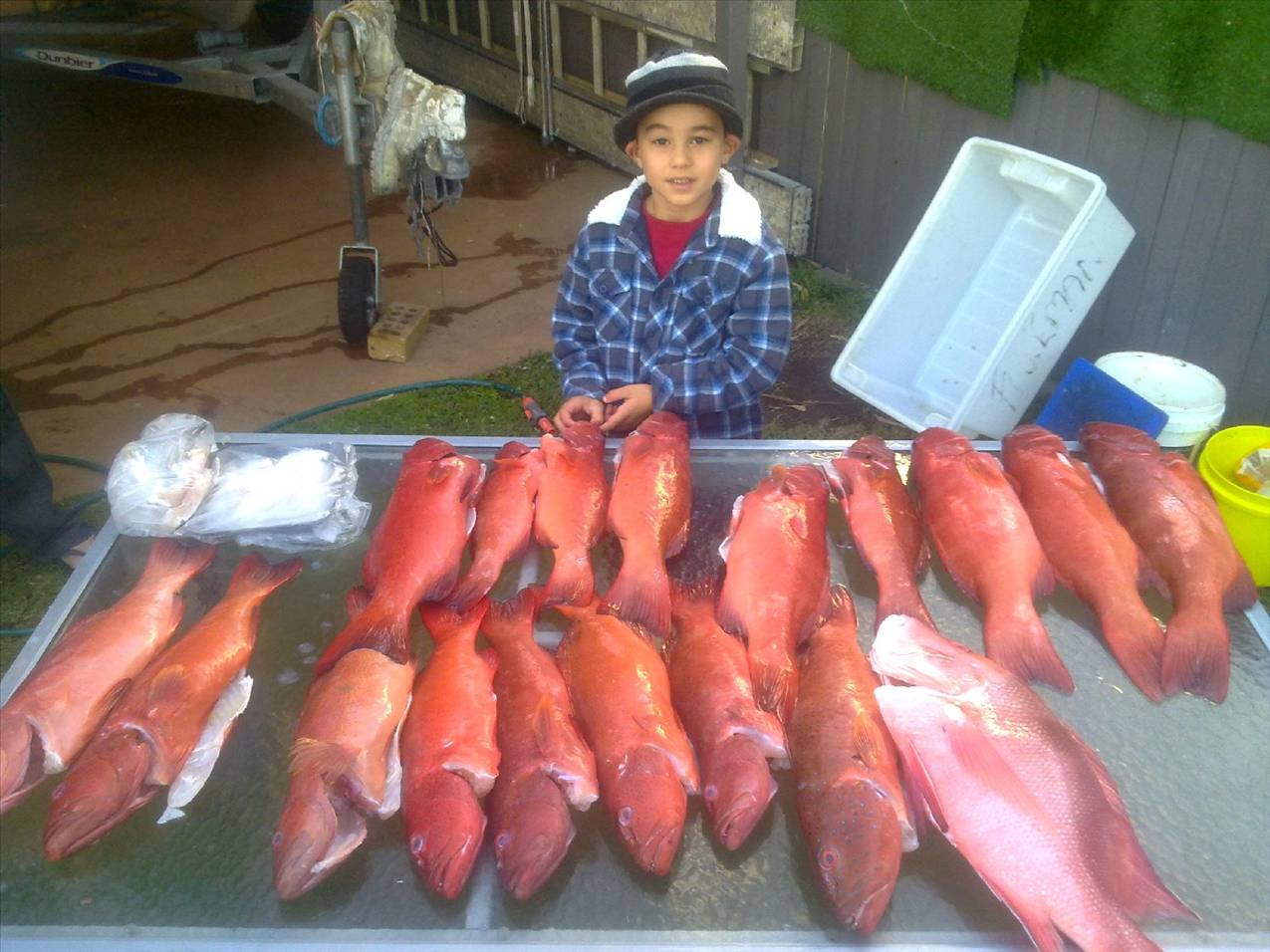 some trout