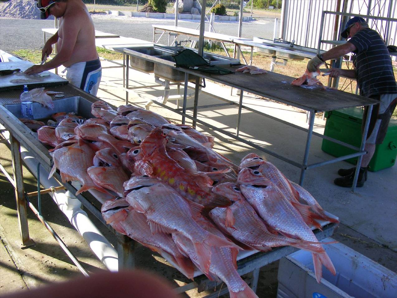 2009 1018fishing0073