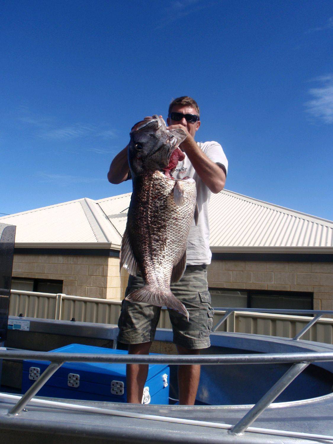 Dhufish