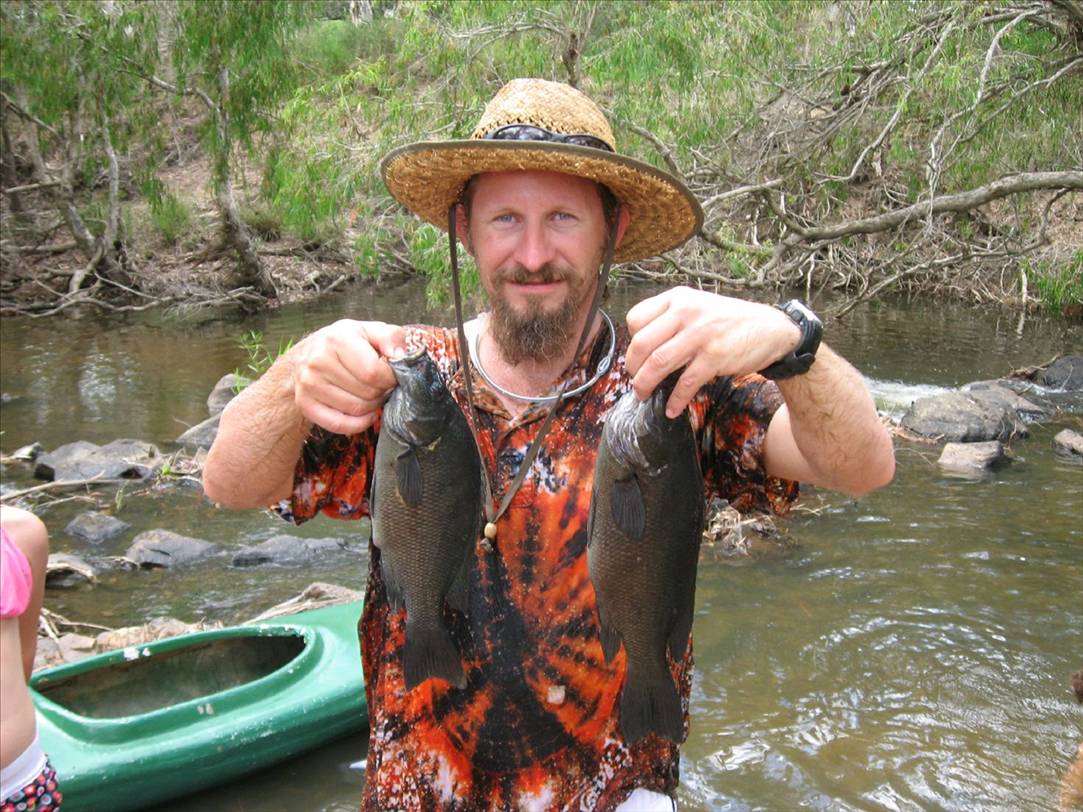 40cm and 35cm Sooty