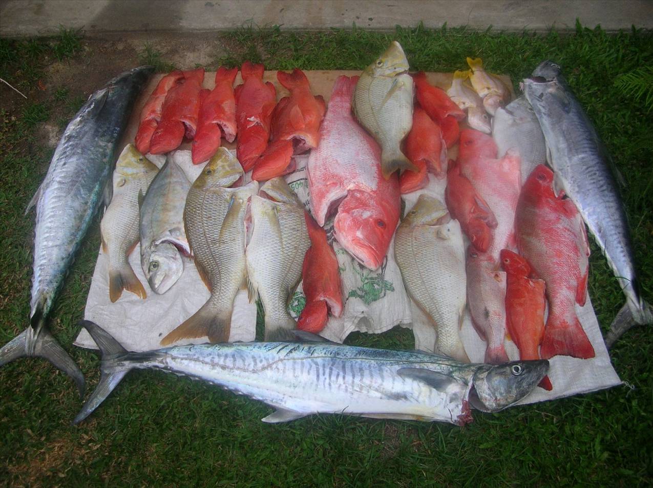 Mixed bag