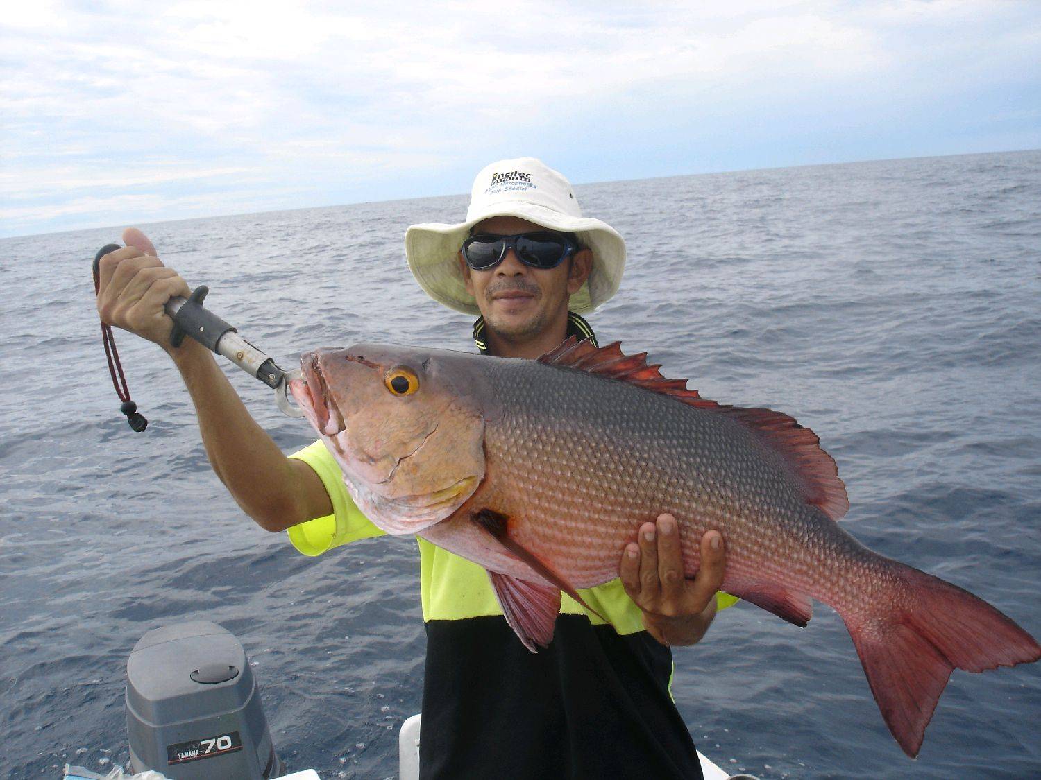 Red bass