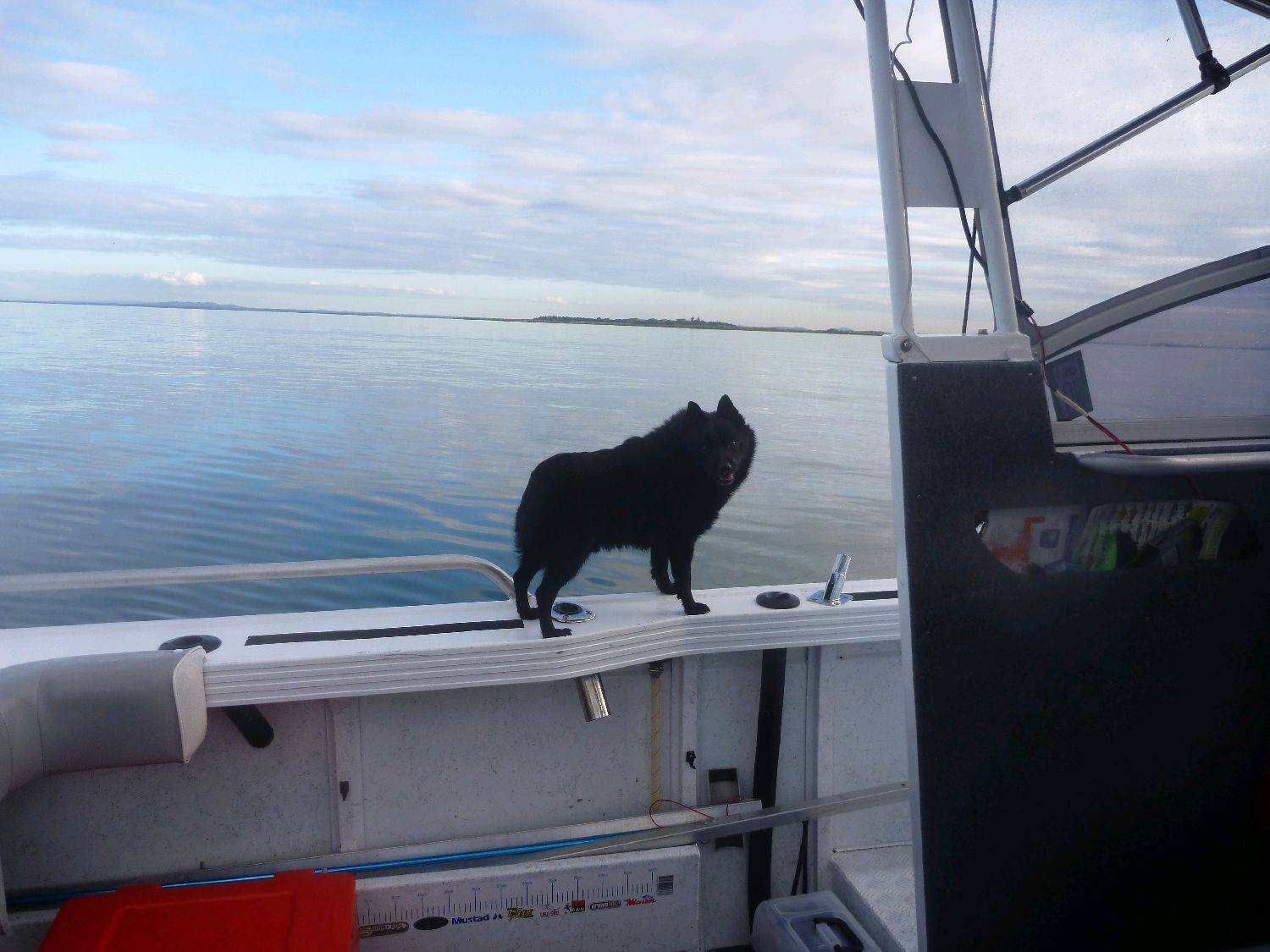tomkattoo fishing