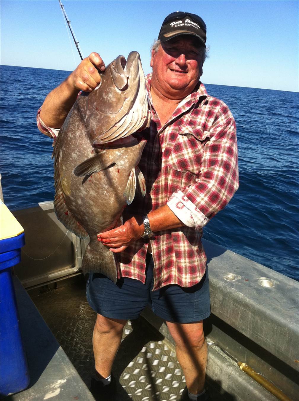 rankin cod