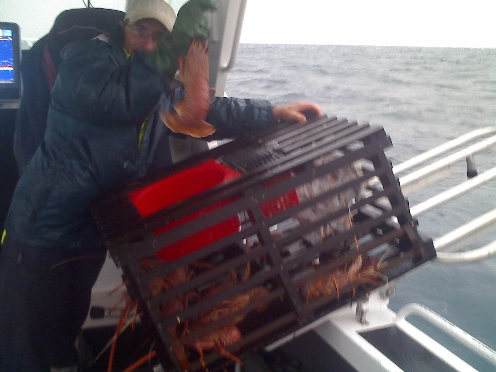 cray fish galour