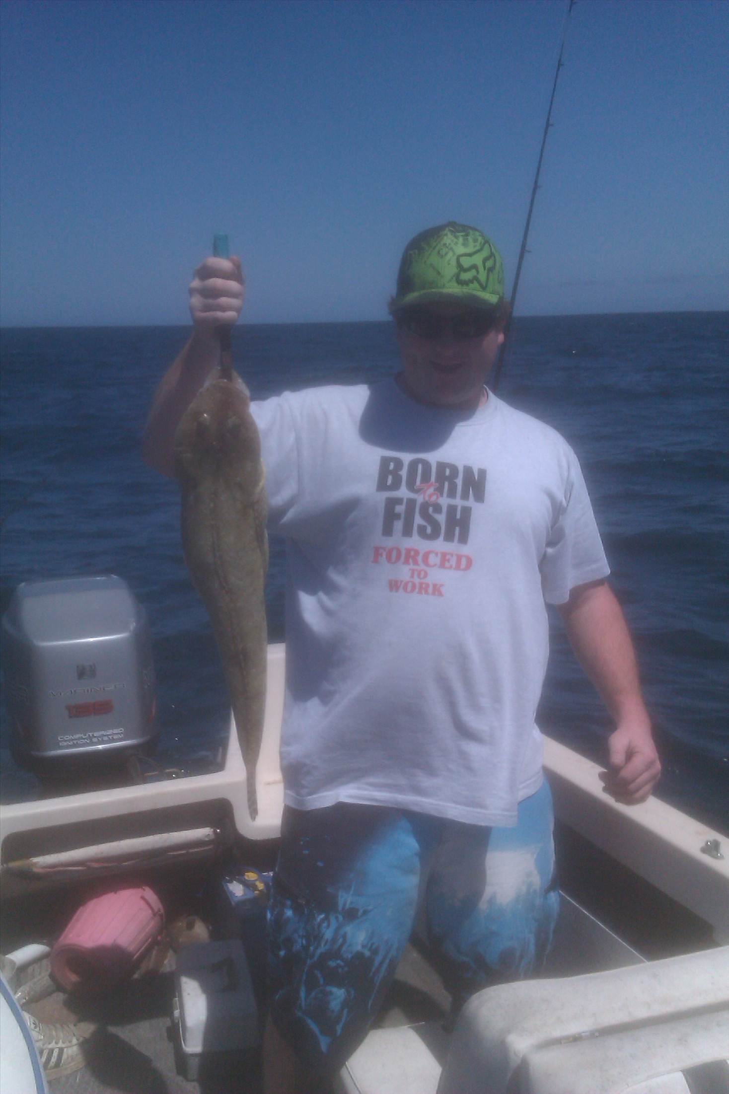 70cm flathead