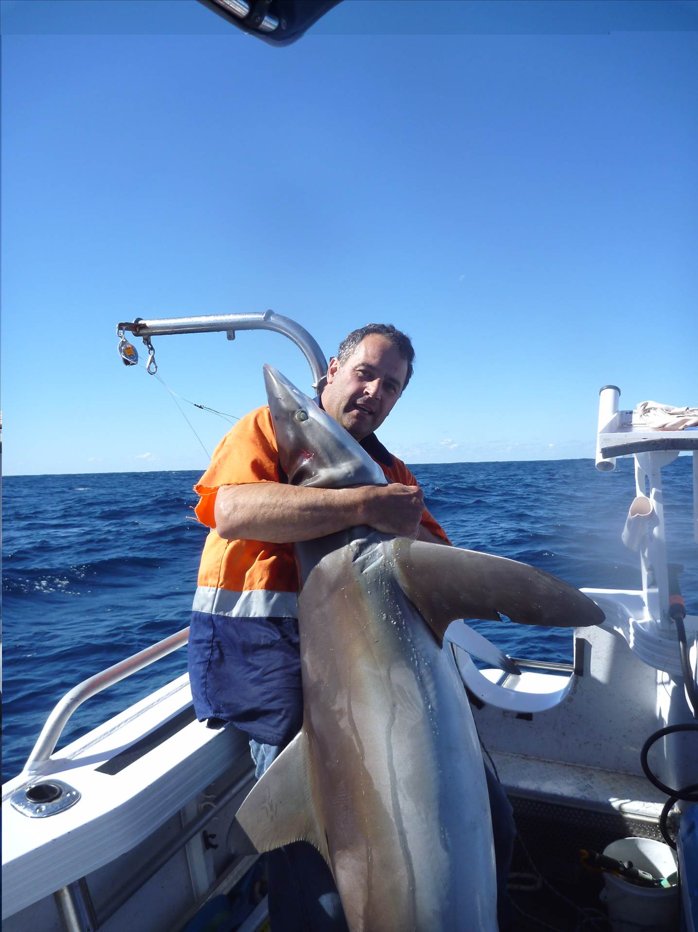 tomkattoo fishing