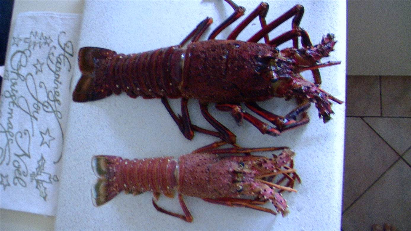 big cray