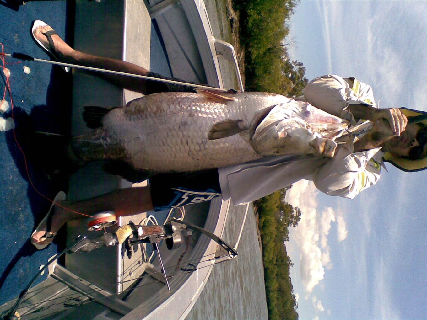 bowshot barra, 30kg plus