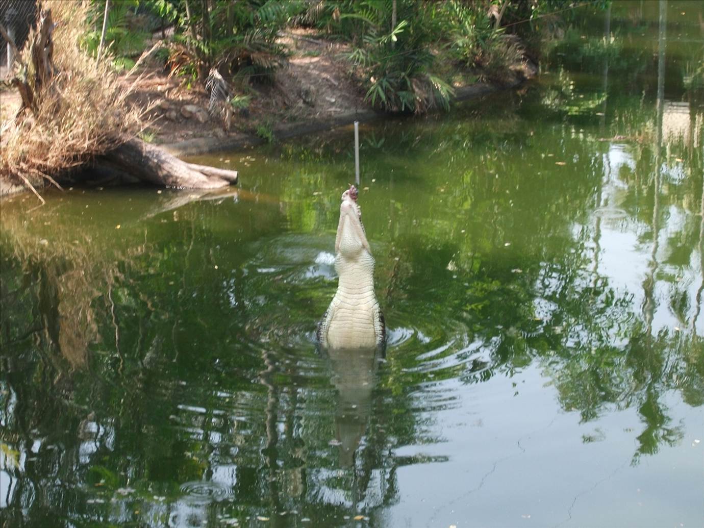FISHING NT STYLE