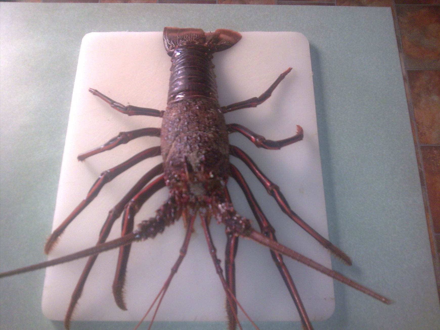 nice cray