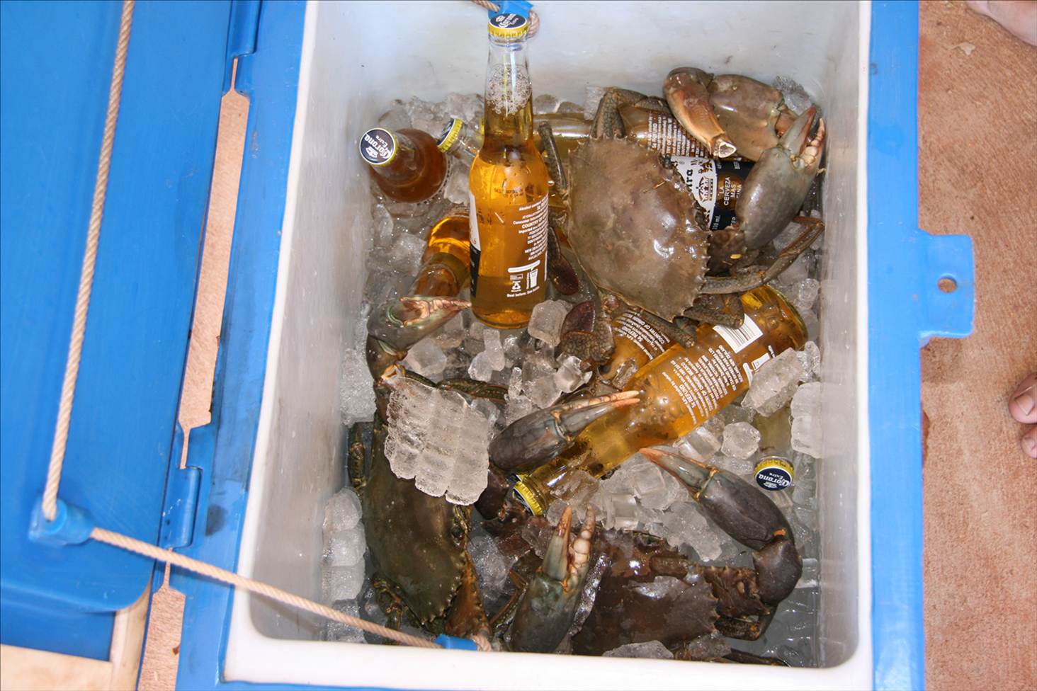 Just another Dampier Saturday Brunch