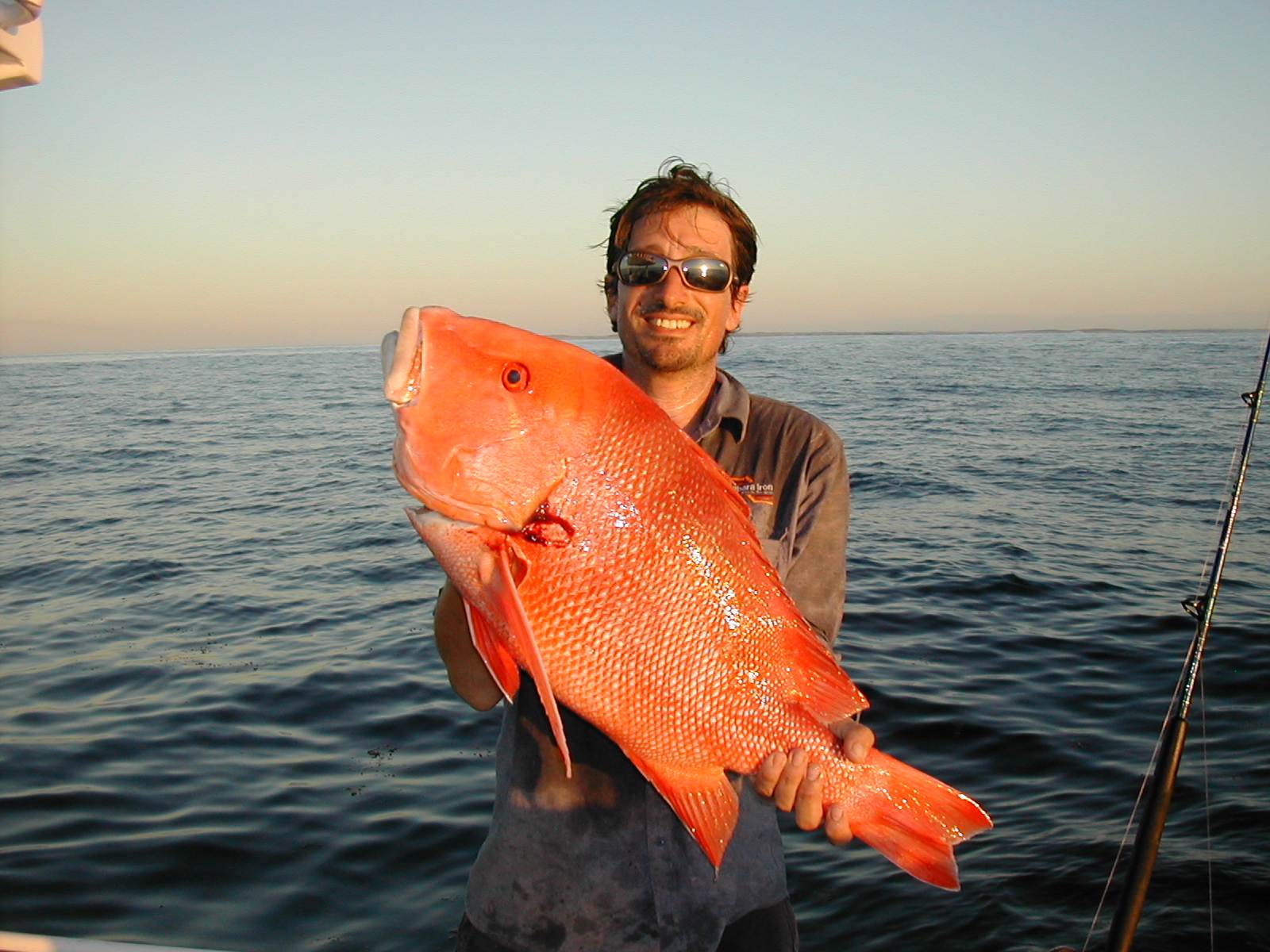 Monties red