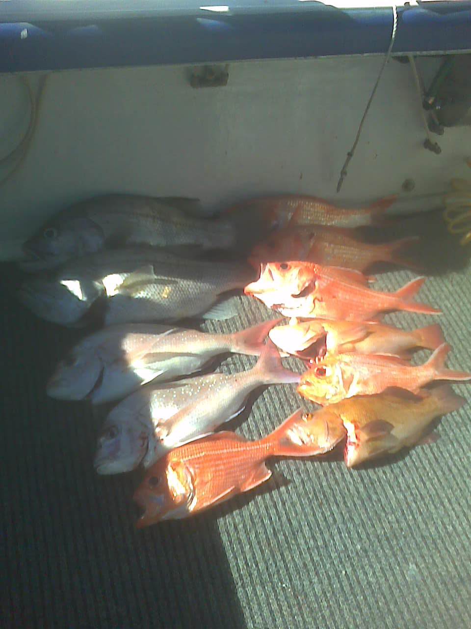 Image0096