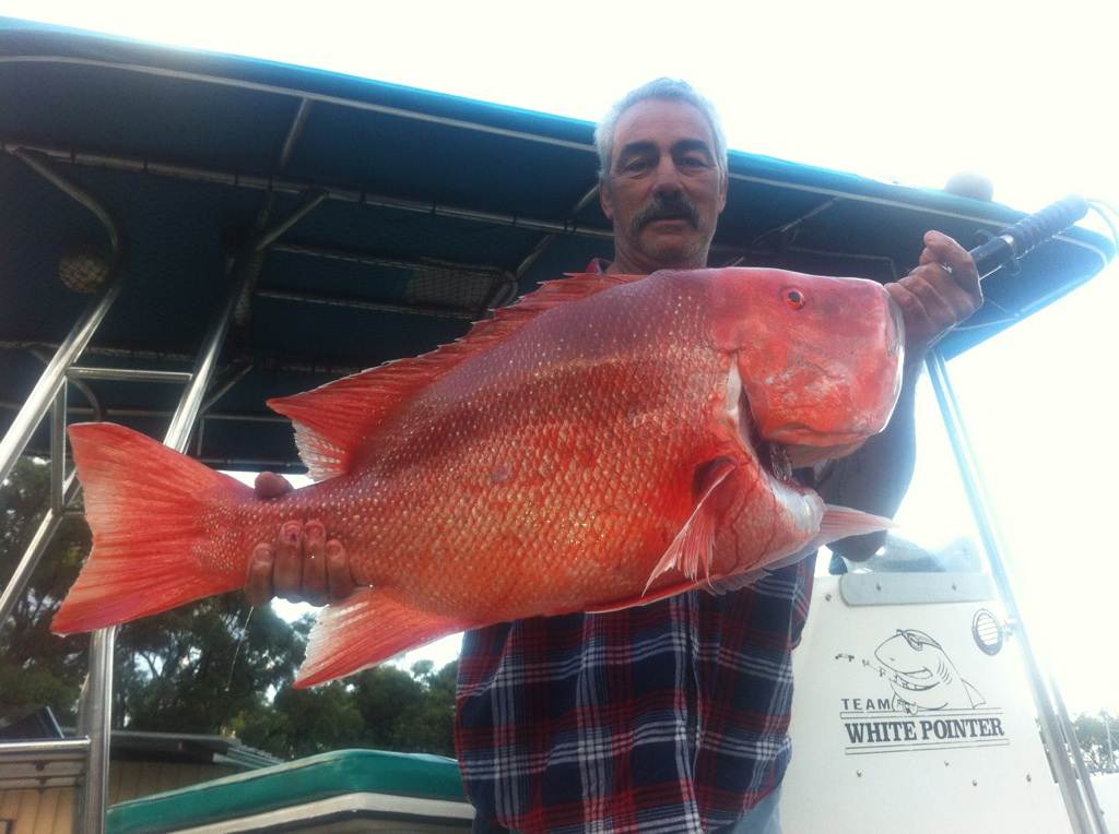 my pb