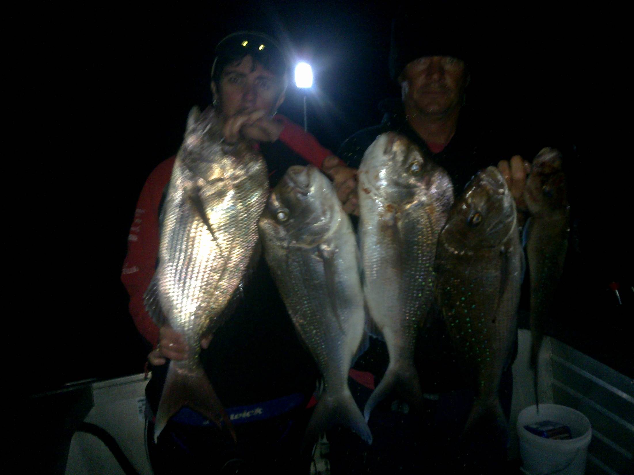 mmm snapper