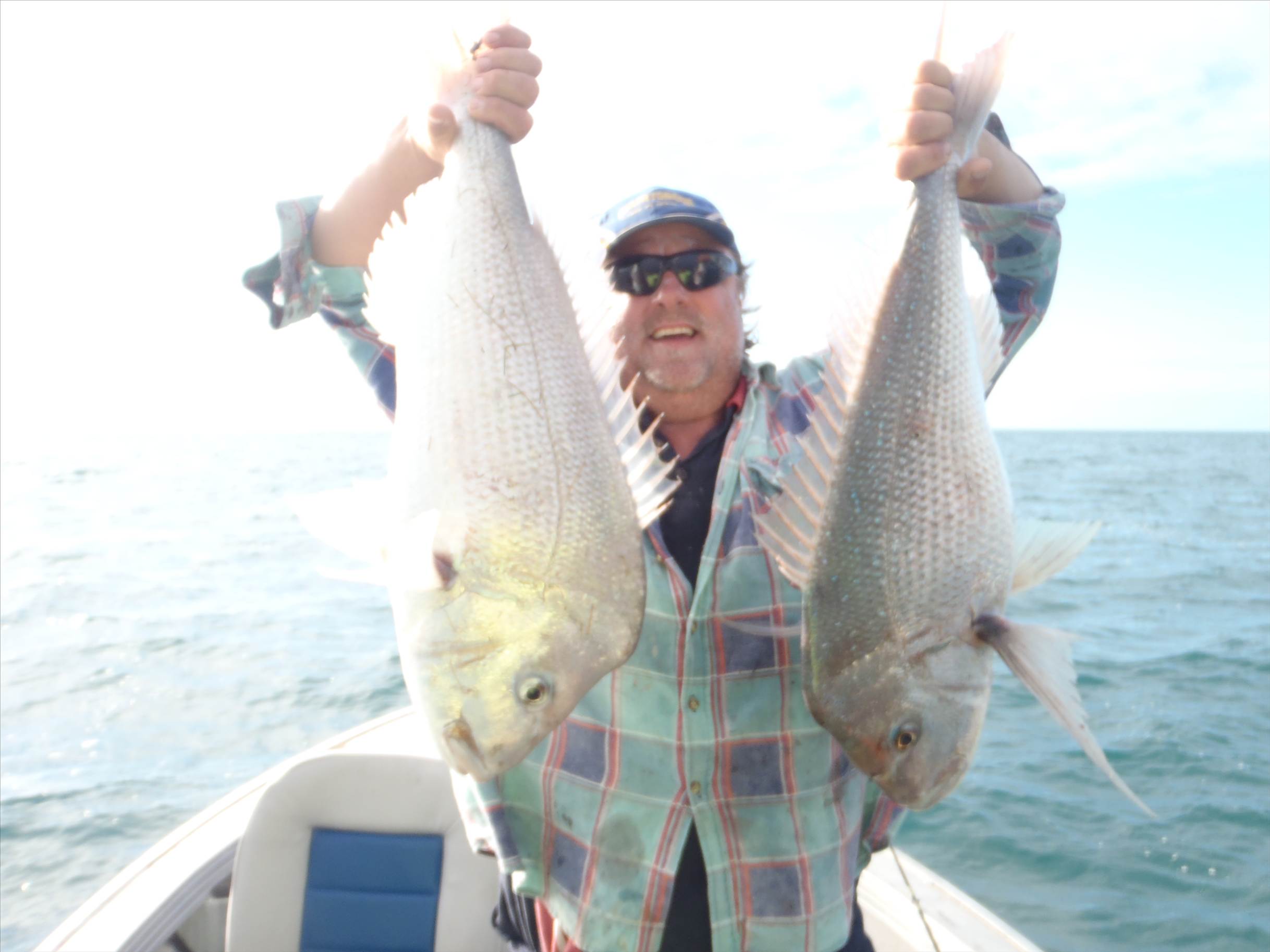 happy  snapper