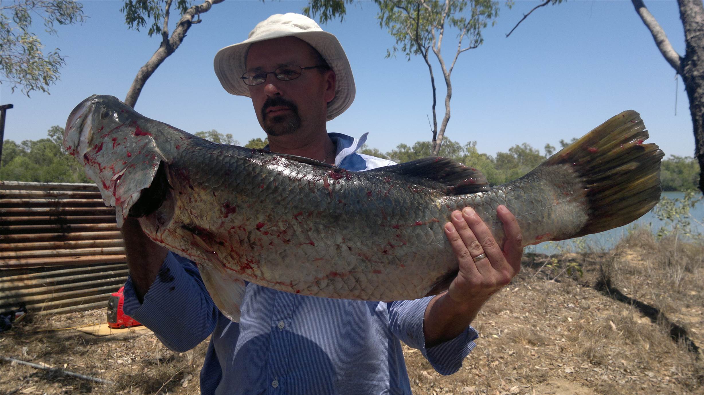 ocean cat barra