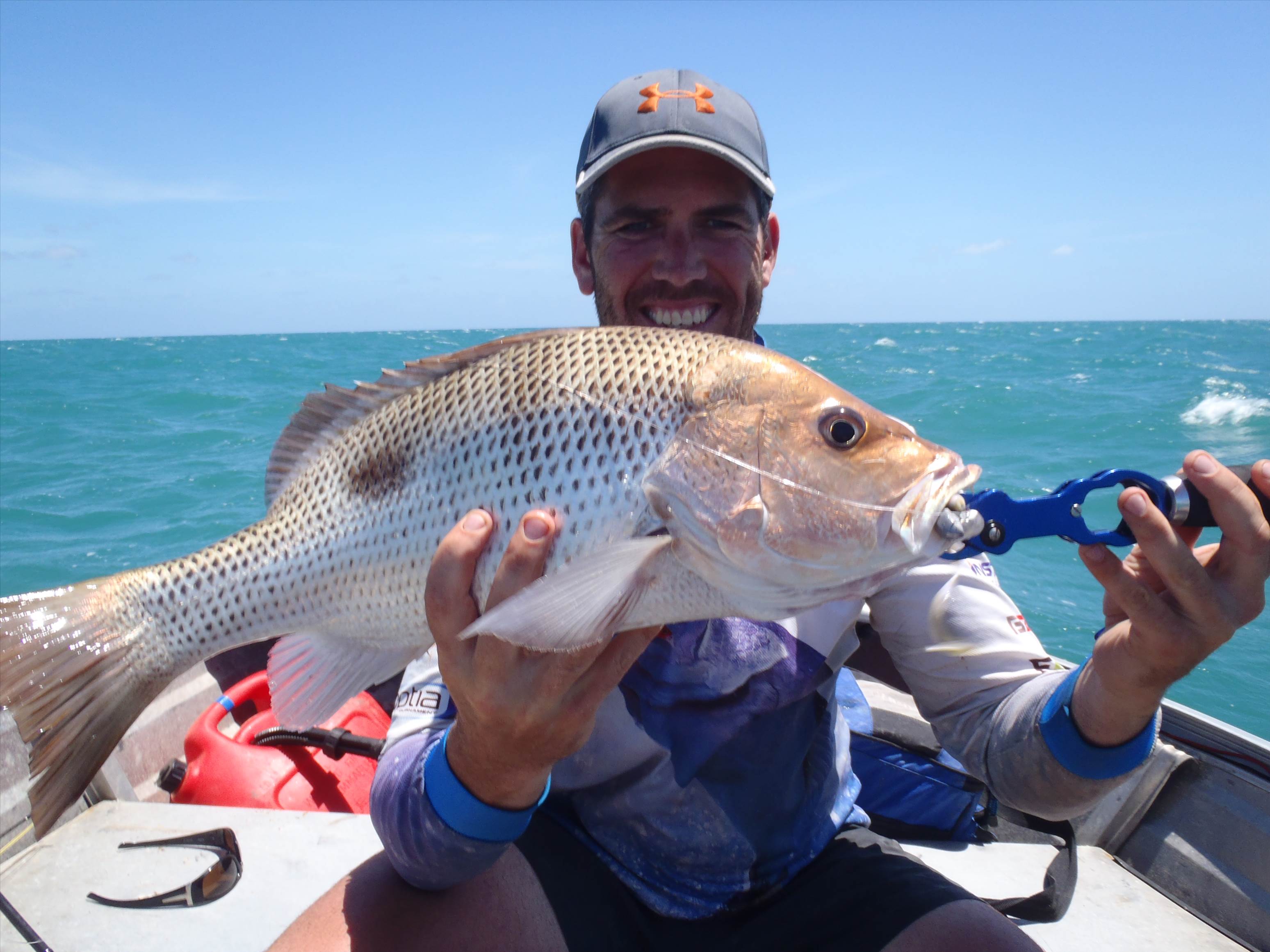 Caught and Released
