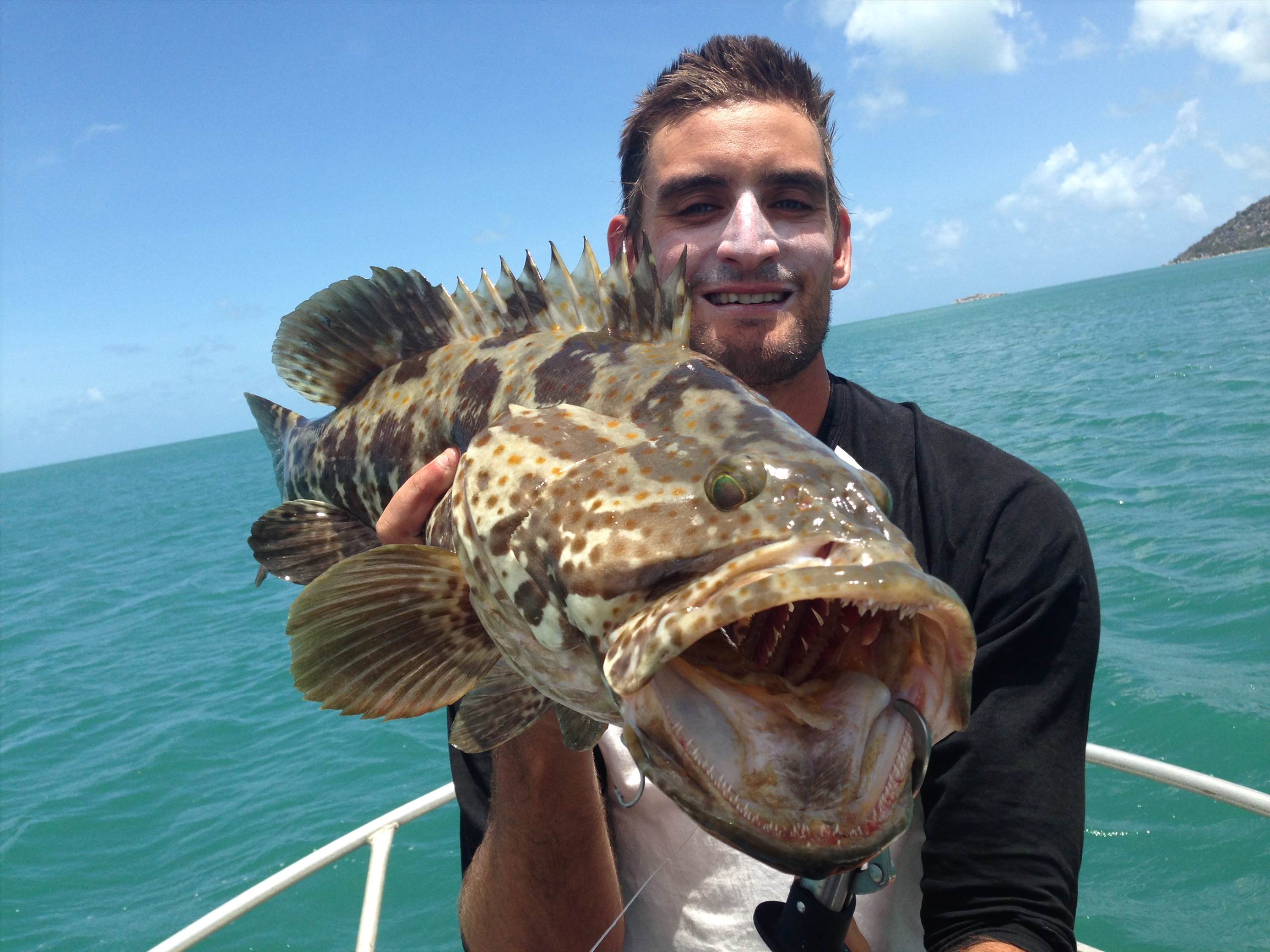 Caught and Released
