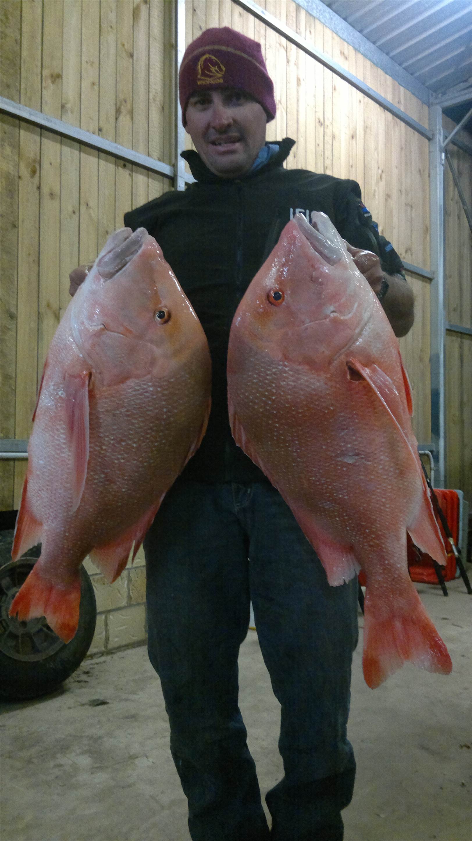 steve red 017