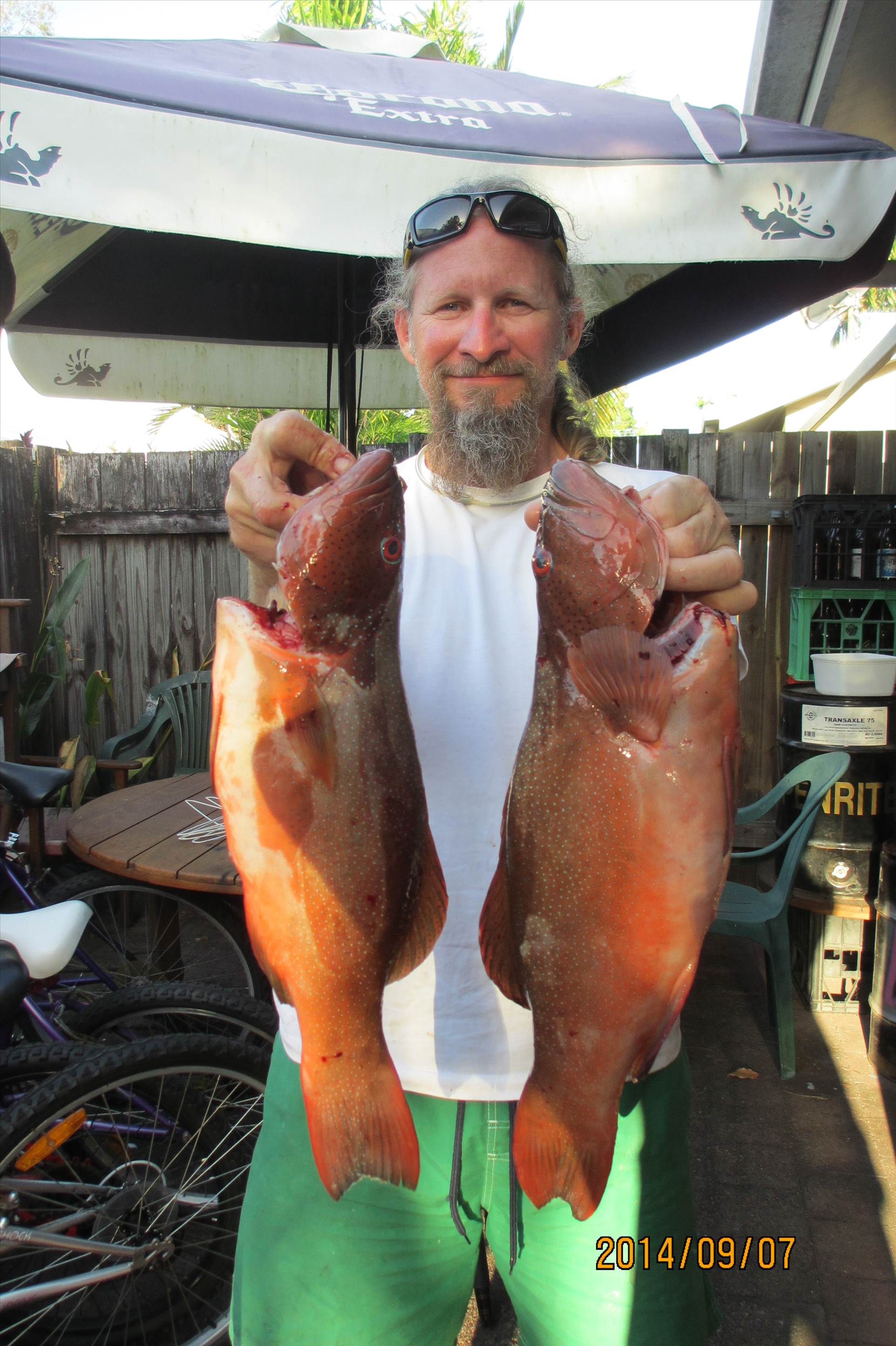 Fathers Day Trout
