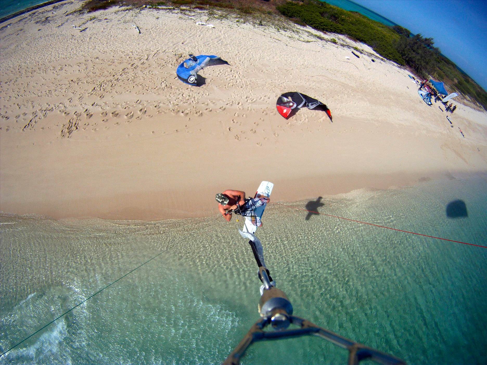go pro or go home