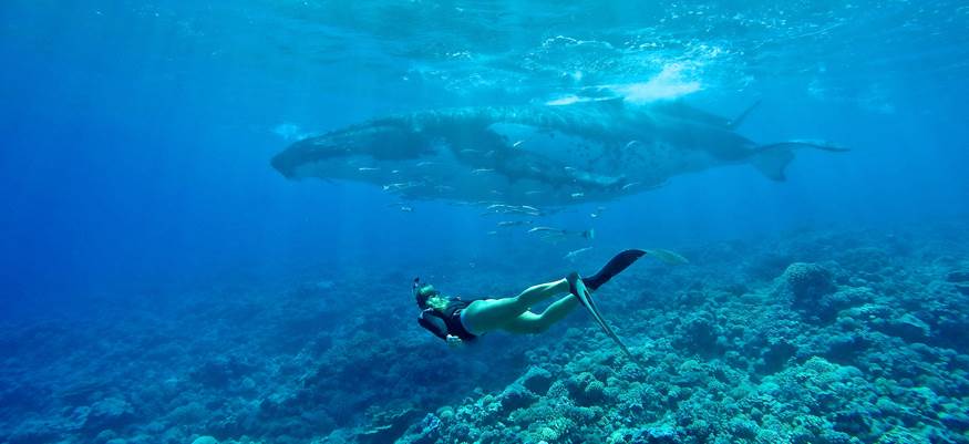 melissa-with-whale crop