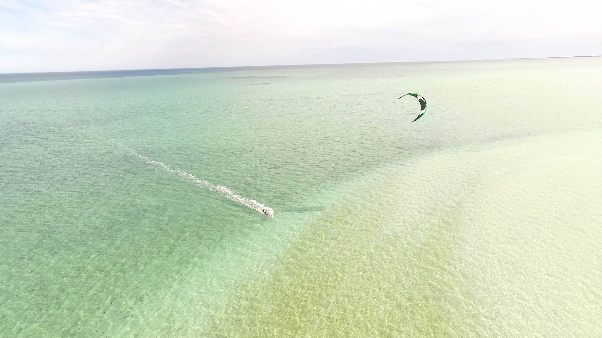 shark bay6