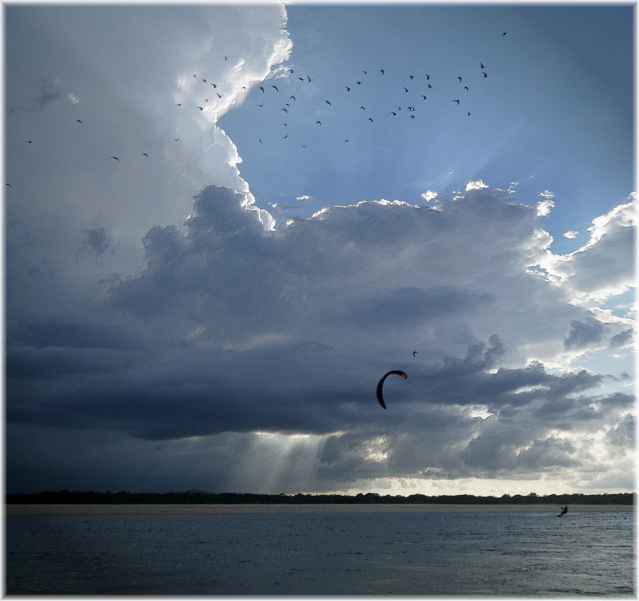 Noosa river