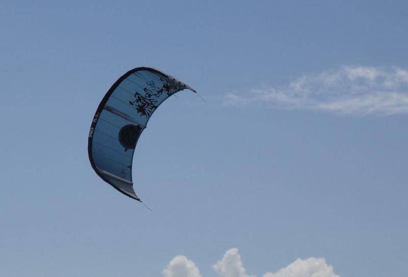Windy day @ woodies