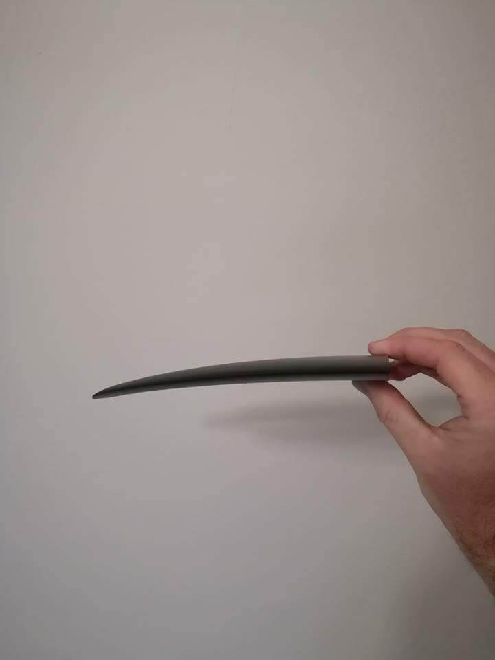 wing front