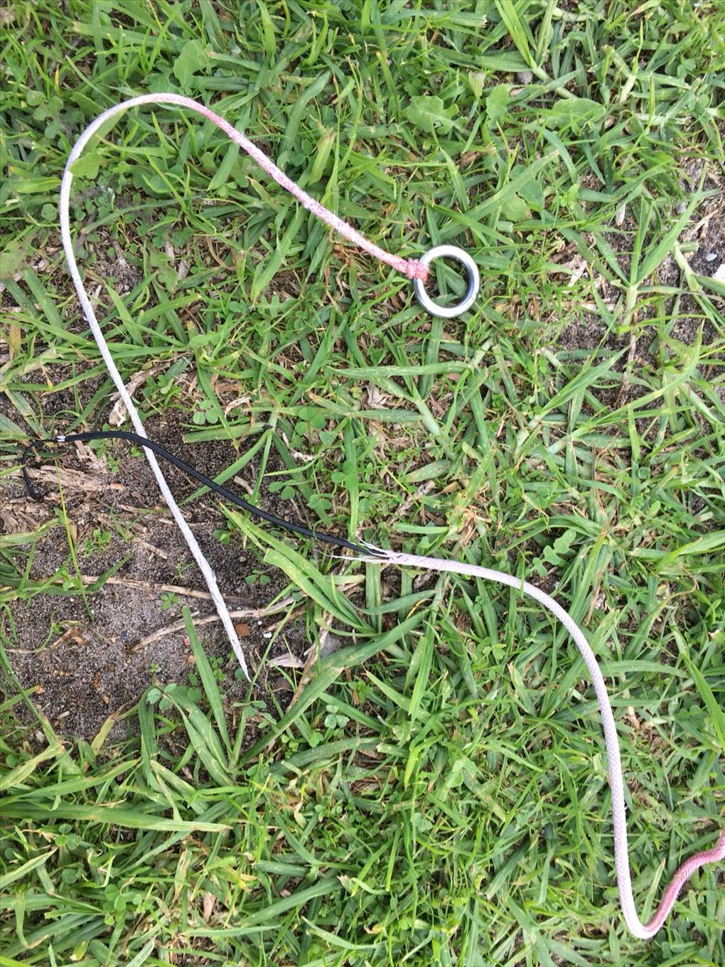 snapped bungee