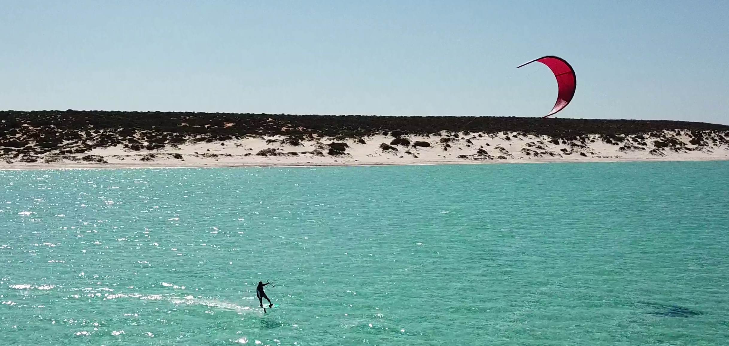 shark bay foil 3