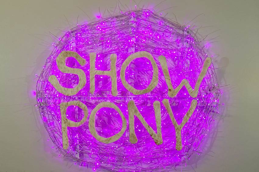 z brooks showpony
