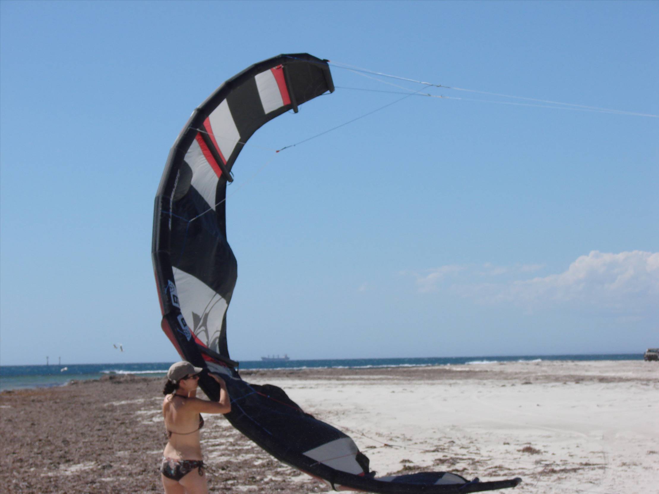 GERO 2008