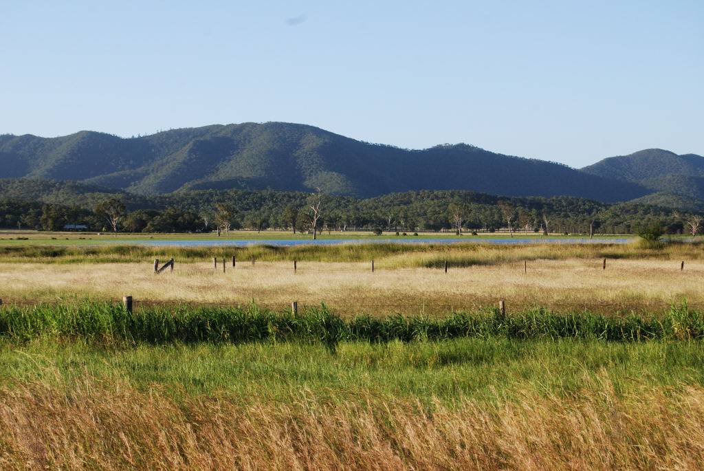 Cow paddock riding