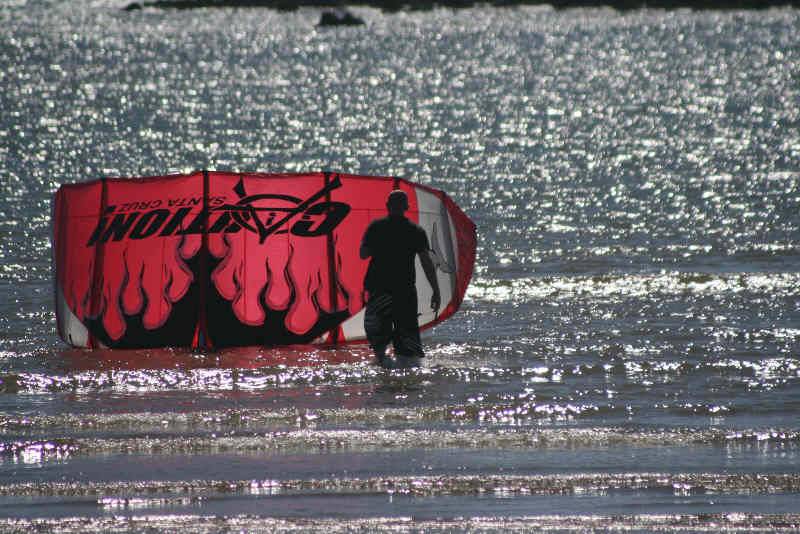 Caution Mayhem red