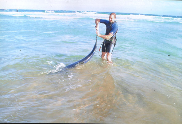 removing the locals before a session - Broulee