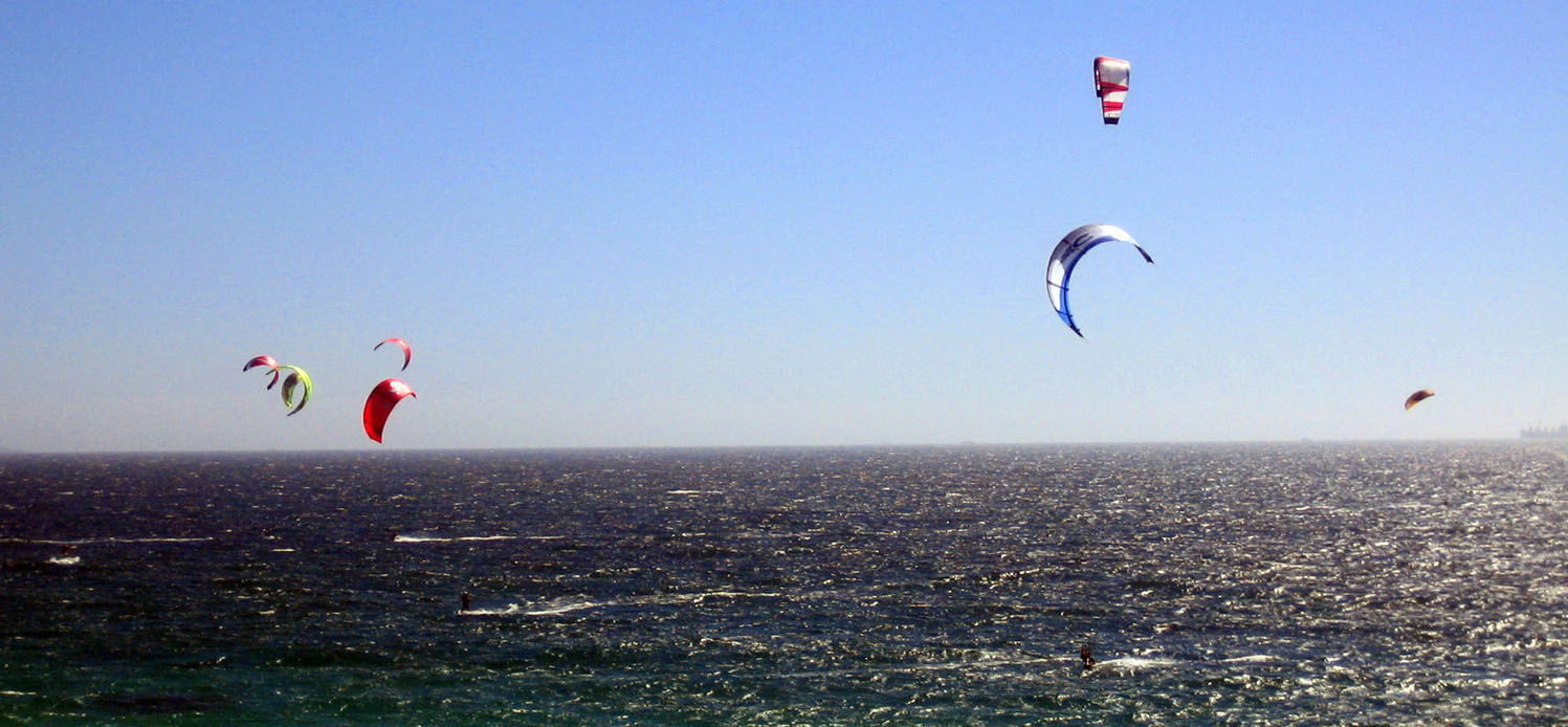 kites