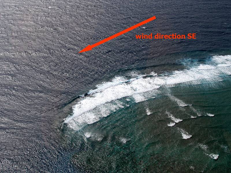 Ribbon Reefs