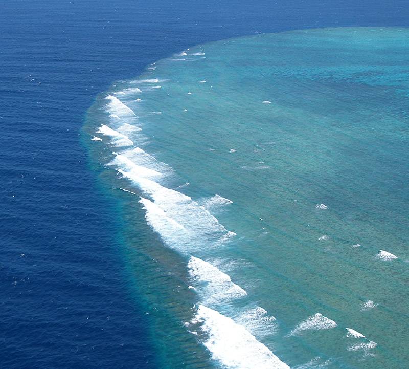 Ribbon Reefs