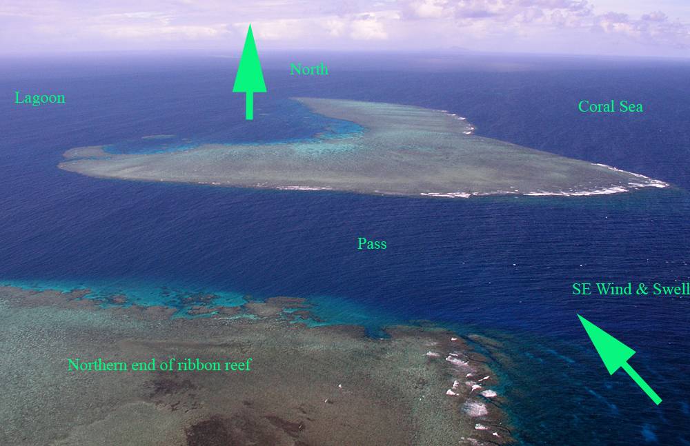 Ribbon Reefs